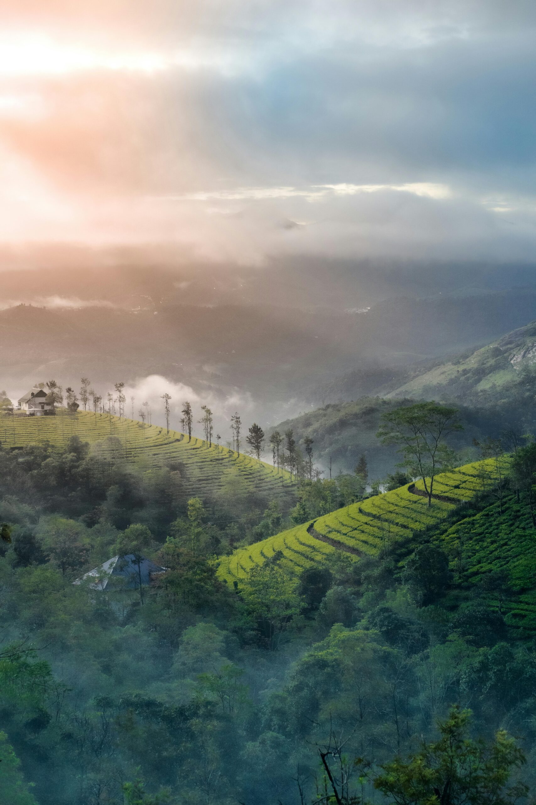 Foggy Sunrise over the green mountain in kerala
